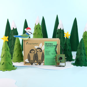 WiFi Bird Box & Wildlife Habitat HD Camera