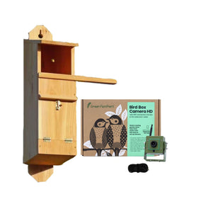 WiFi Tawny Owl Box HD Camera Pack