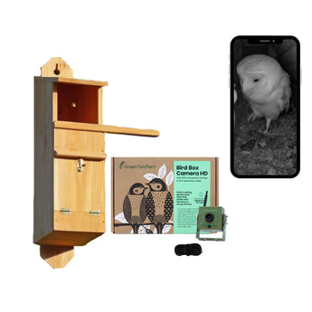 WiFi Tawny Owl Box HD Camera Pack – Green Feathers