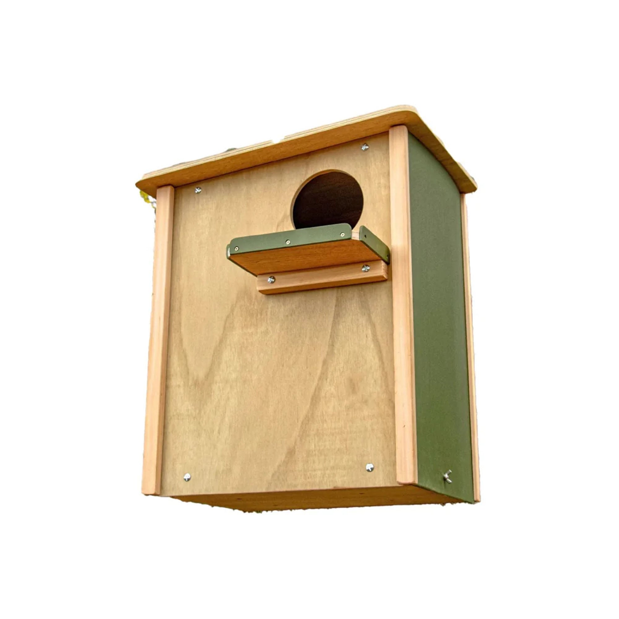 Capi Bird Box WiFi Universal Bird of Prey Bird Box HD Camera Pack – Green Feathers