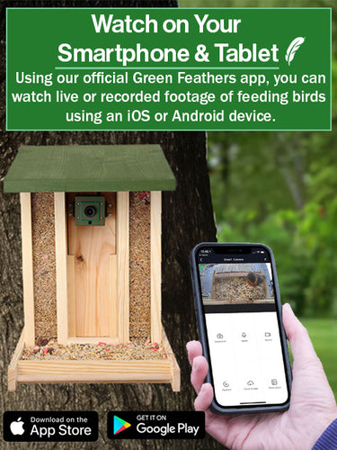 Conexión Wifi Usar Celular Como Extensor Wifi WiFi Camera Wooden