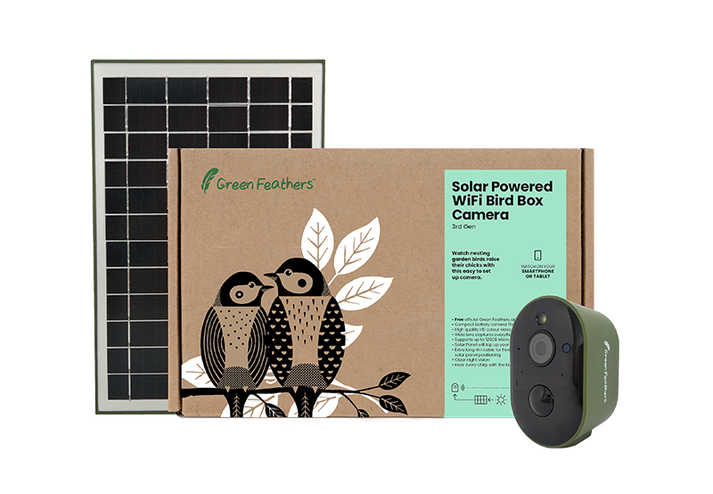 Solar Powered WiFi Bird Box Camera Ultimate Bundle Green Feathers