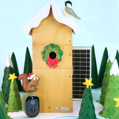 Solar Powered WiFi Bird Box HD Camera Starter Pack