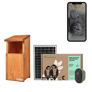 Solar Powered WiFi Owl Box Camera Pack
