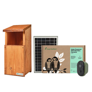 Solar Powered WiFi Owl Box Camera Pack
