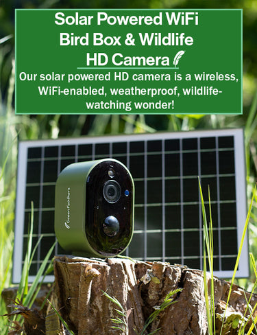 Solar Powered WiFi Bird Box HD Camera Complete Pack – Green Feathers