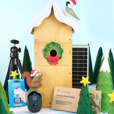 Solar Powered WiFi Bird Box HD Camera Complete Pack