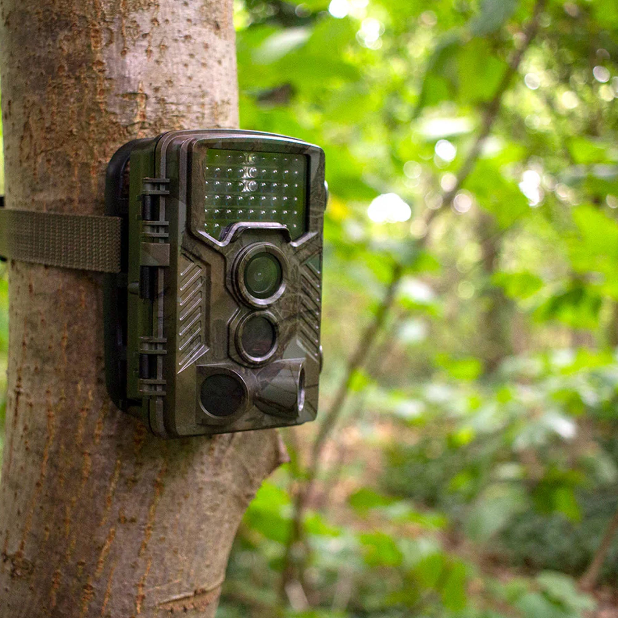 Garden Wildlife Trail Camera HD Ultimate Bundle
