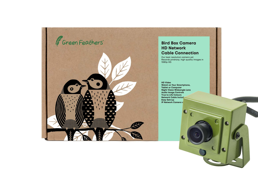 best webcam for raspberry pi