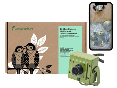 Wired Network Bird Box & Wildlife HD Camera