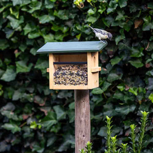 Tilburg Wall Mounted Feeding House