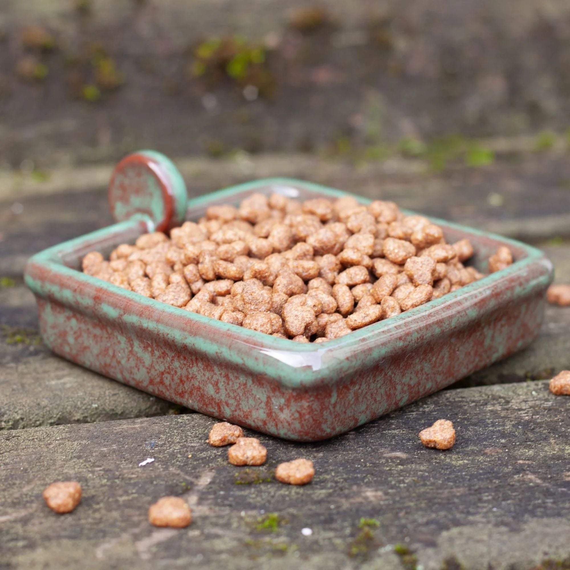 Hedgehog Food Bowl