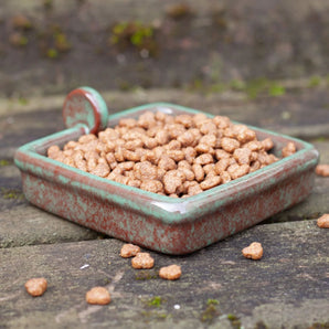 Hedgehog Food Bowl