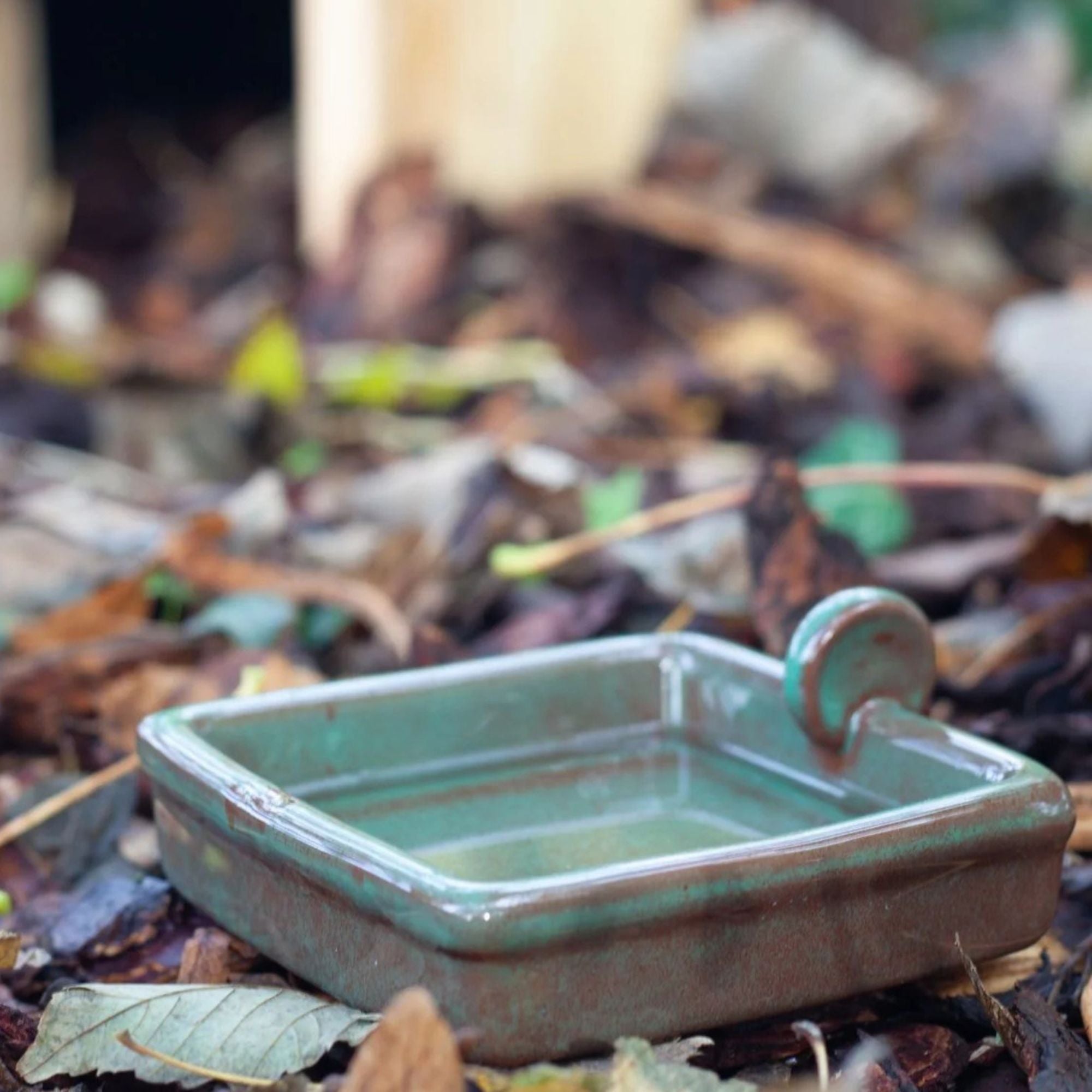 Hedgehog Water Bowl