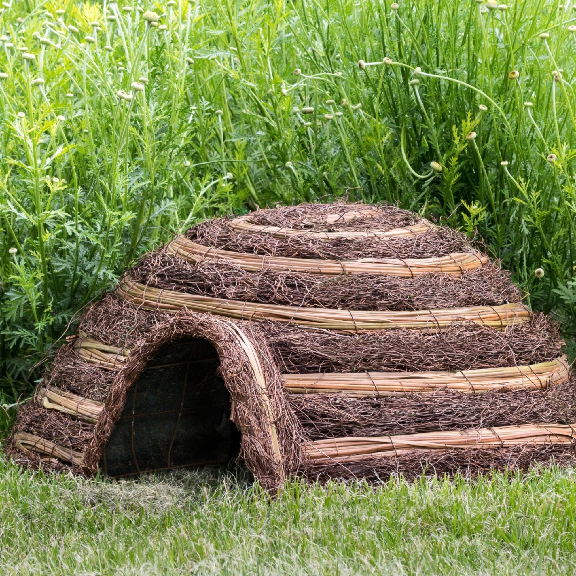 Igloo Hedgehog House