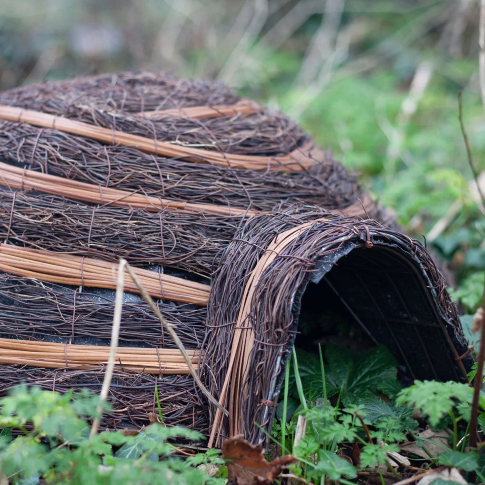 Igloo Hedgehog House