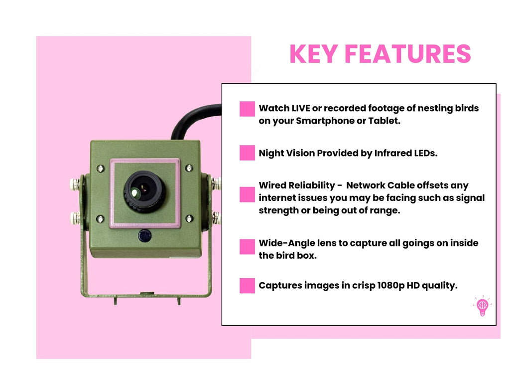 nest hq camera