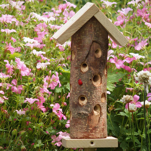 Ladybird Tower