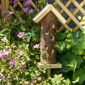Ladybird Tower