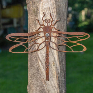 Dragonfly Wall Hanger