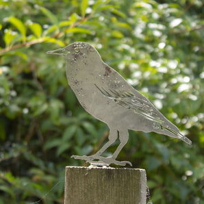 Starling Fence Topper