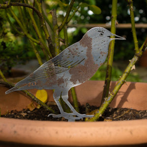 Starling Ground Spike