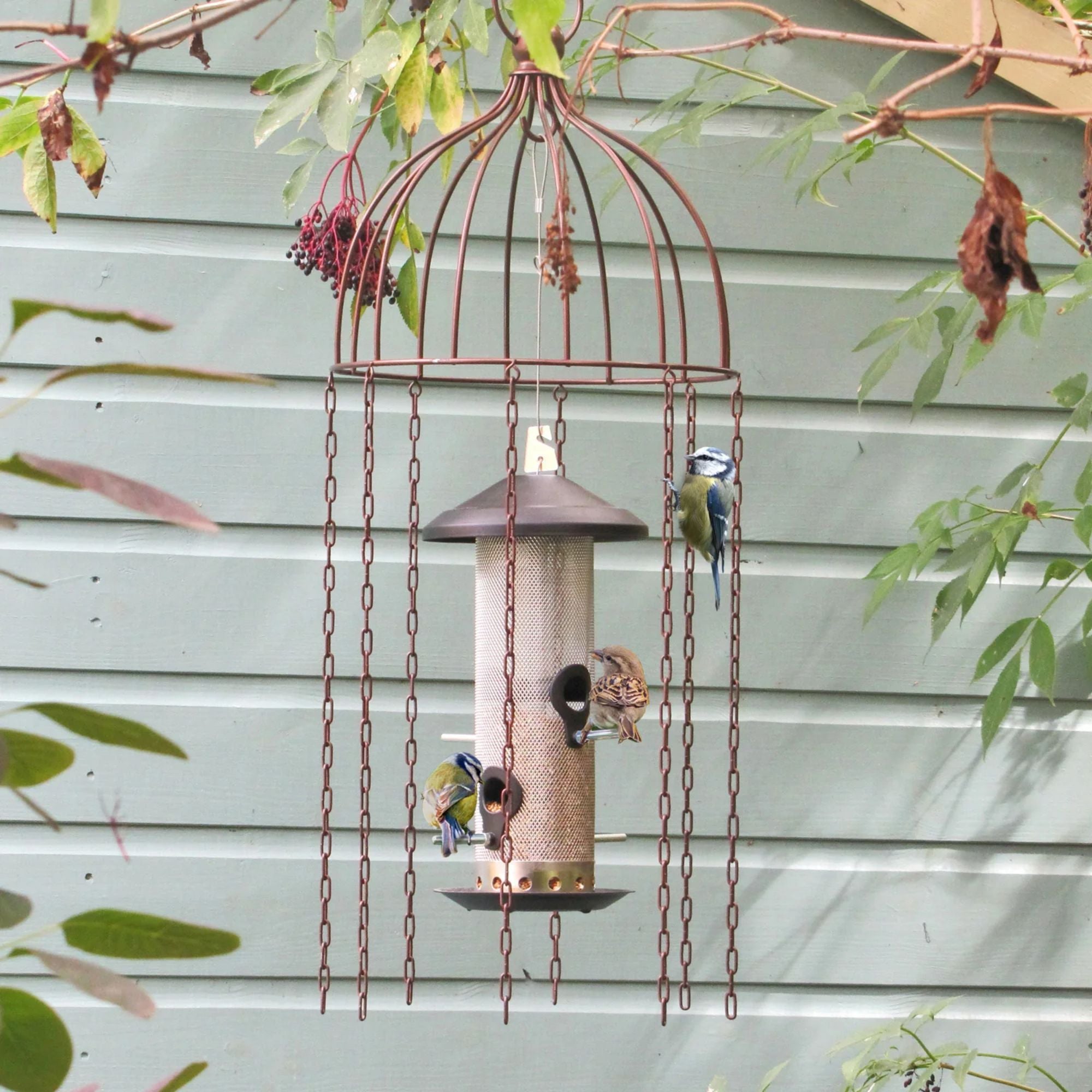Medusa Bird Feeder Defender