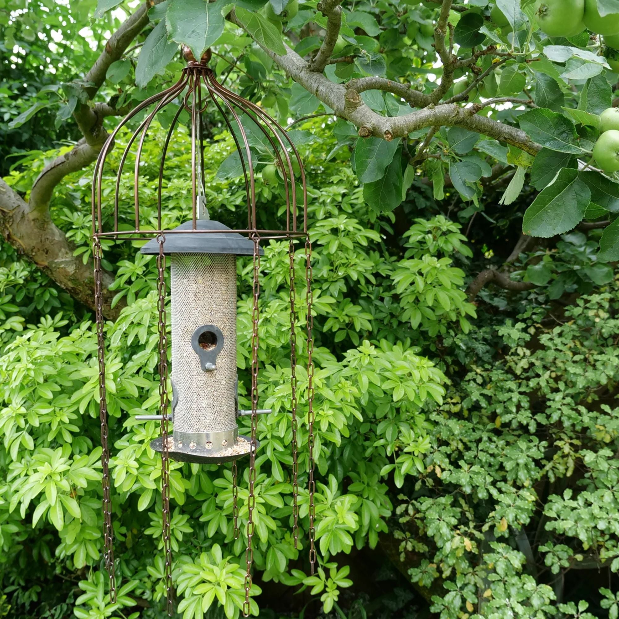 Medusa Bird Feeder Defender