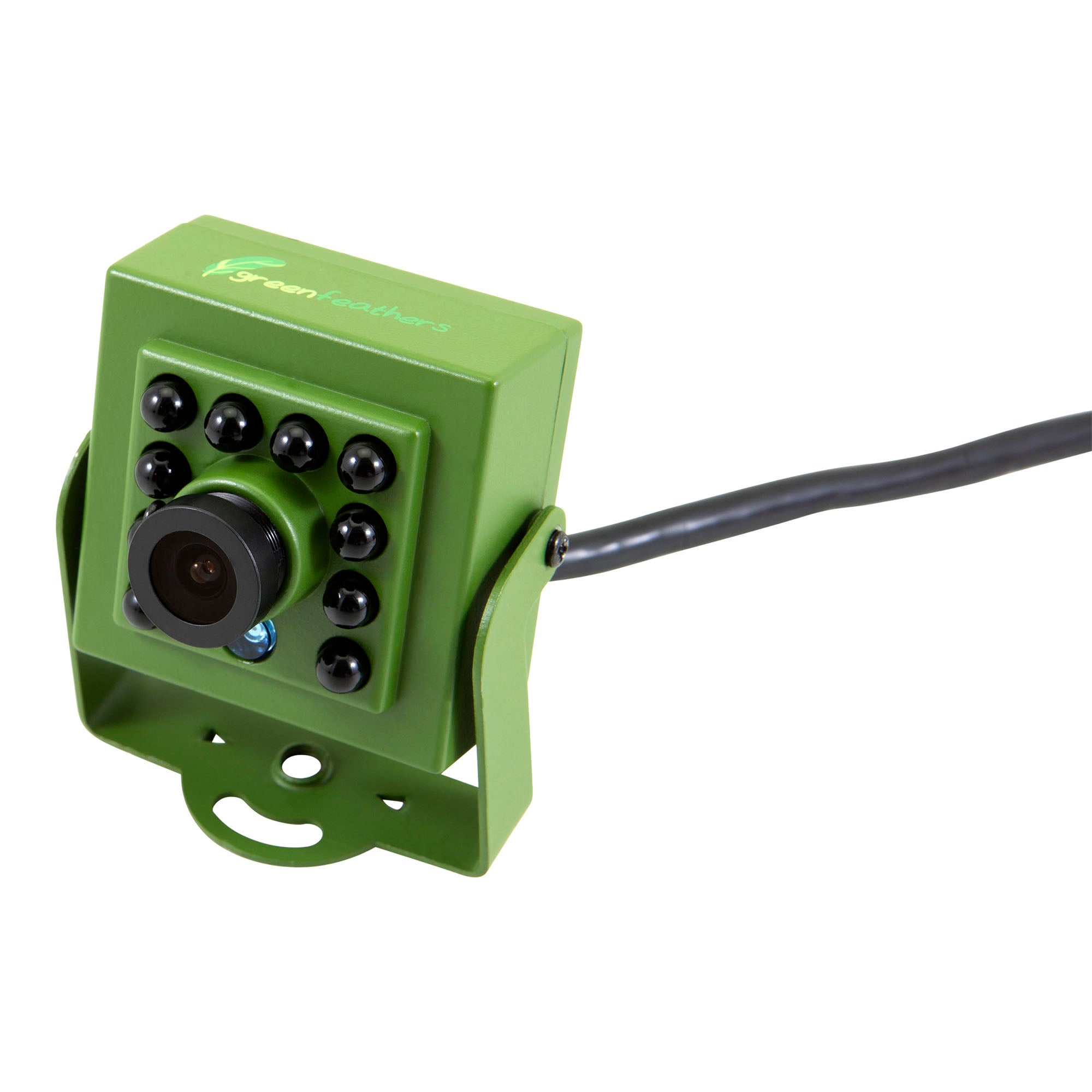 Cable Connection Bird Box & Wildlife HD Camera Recorder Pack