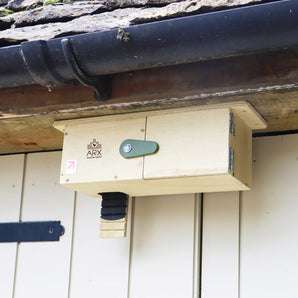 Professional Swift Eaves Box