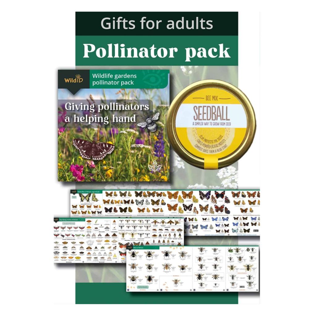 Garden Wildlife Pollinator Pack – Green Feathers