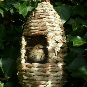 Tall Nest Pocket