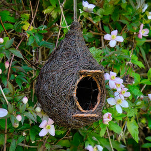 Giant Robin Nest Pocket