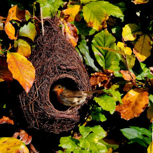 Giant Robin Nest Pocket