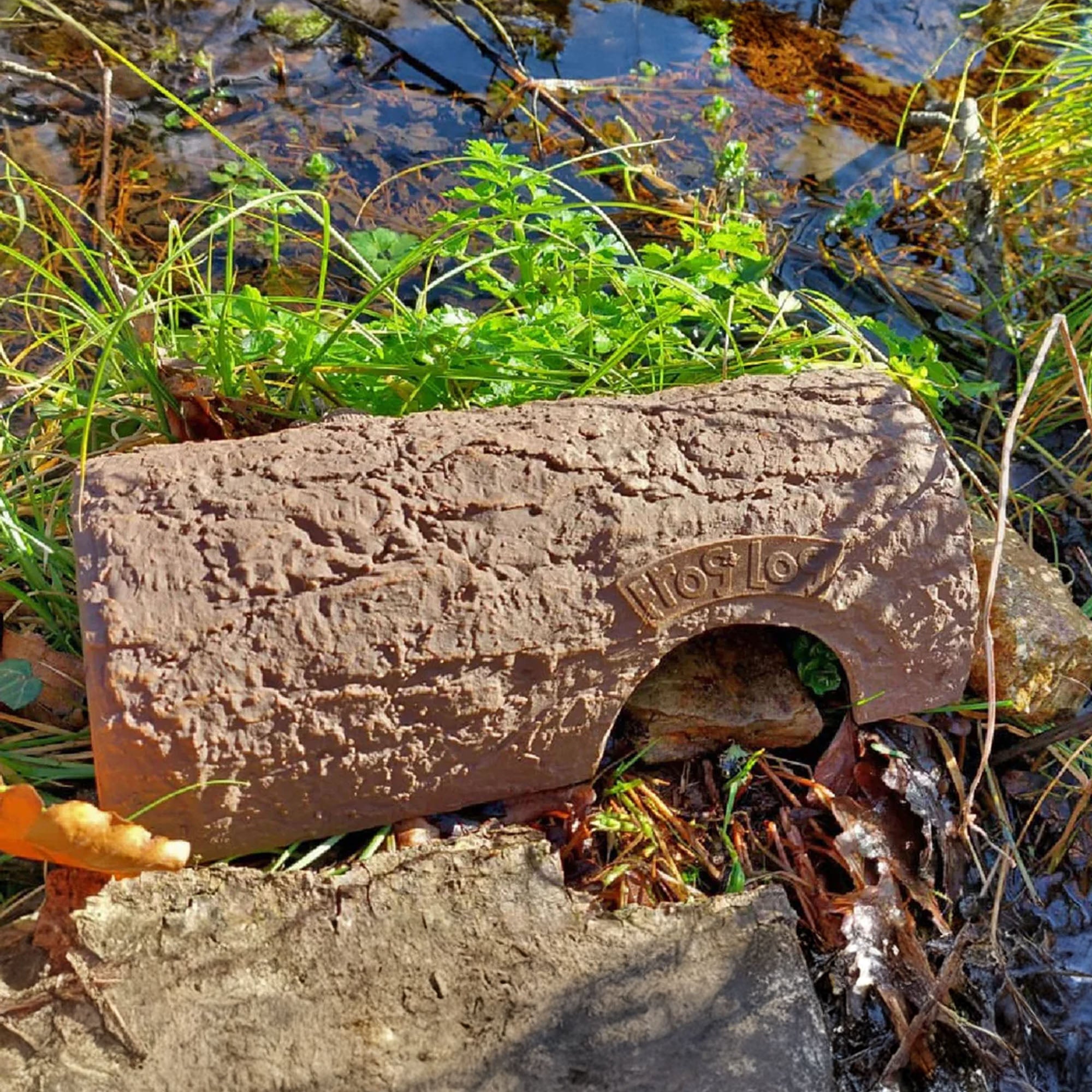 Frog Log
