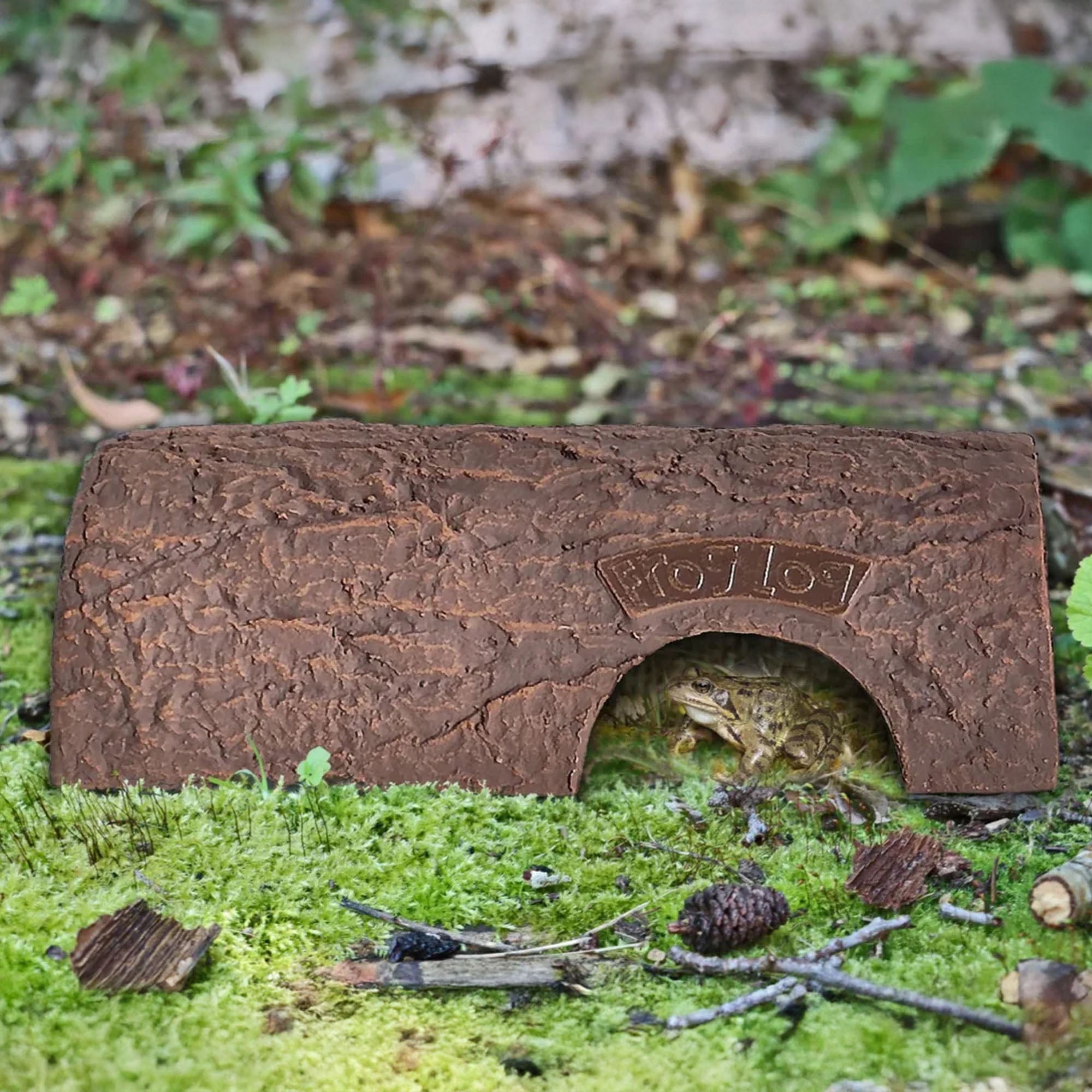 Frog Log
