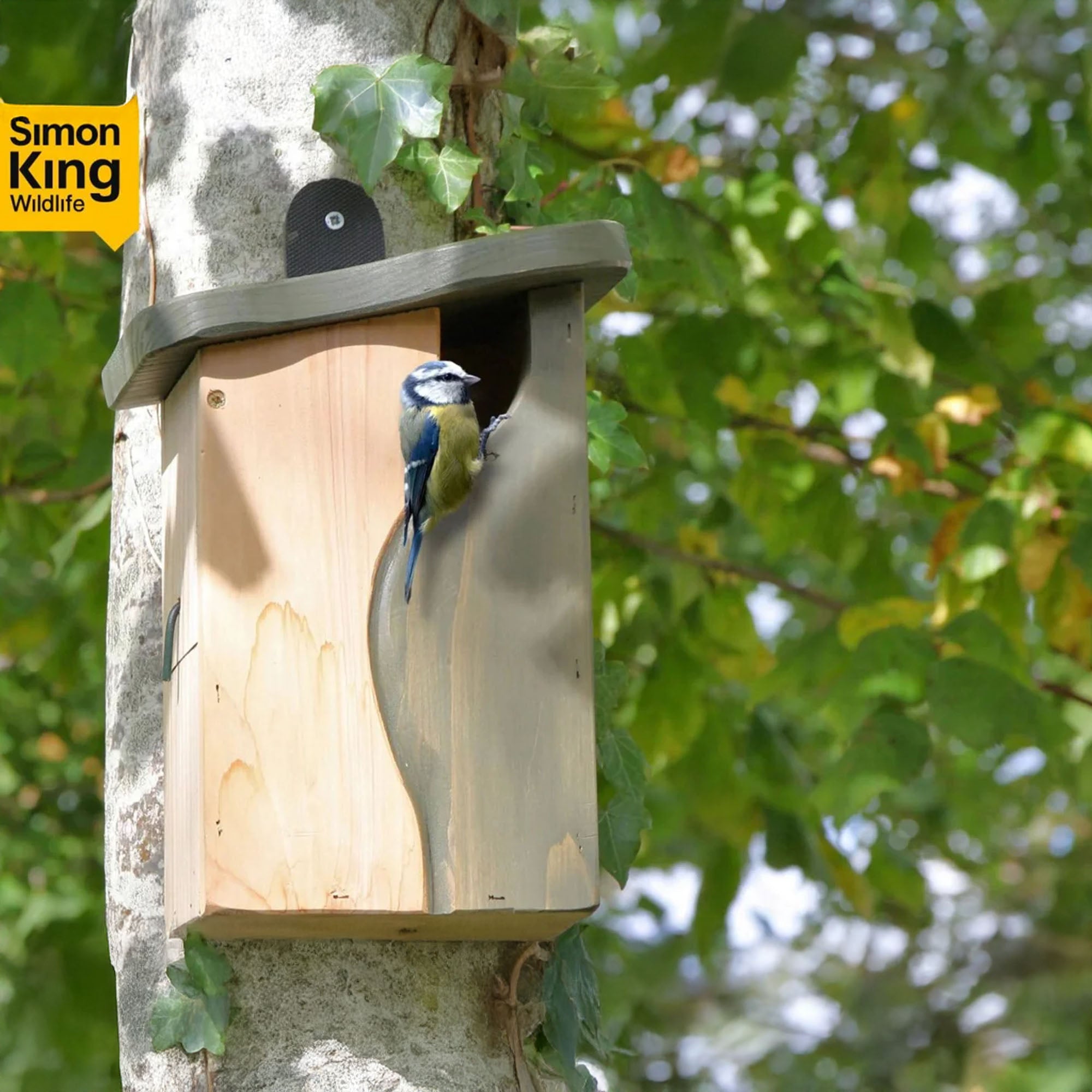 Cavity Nest Box