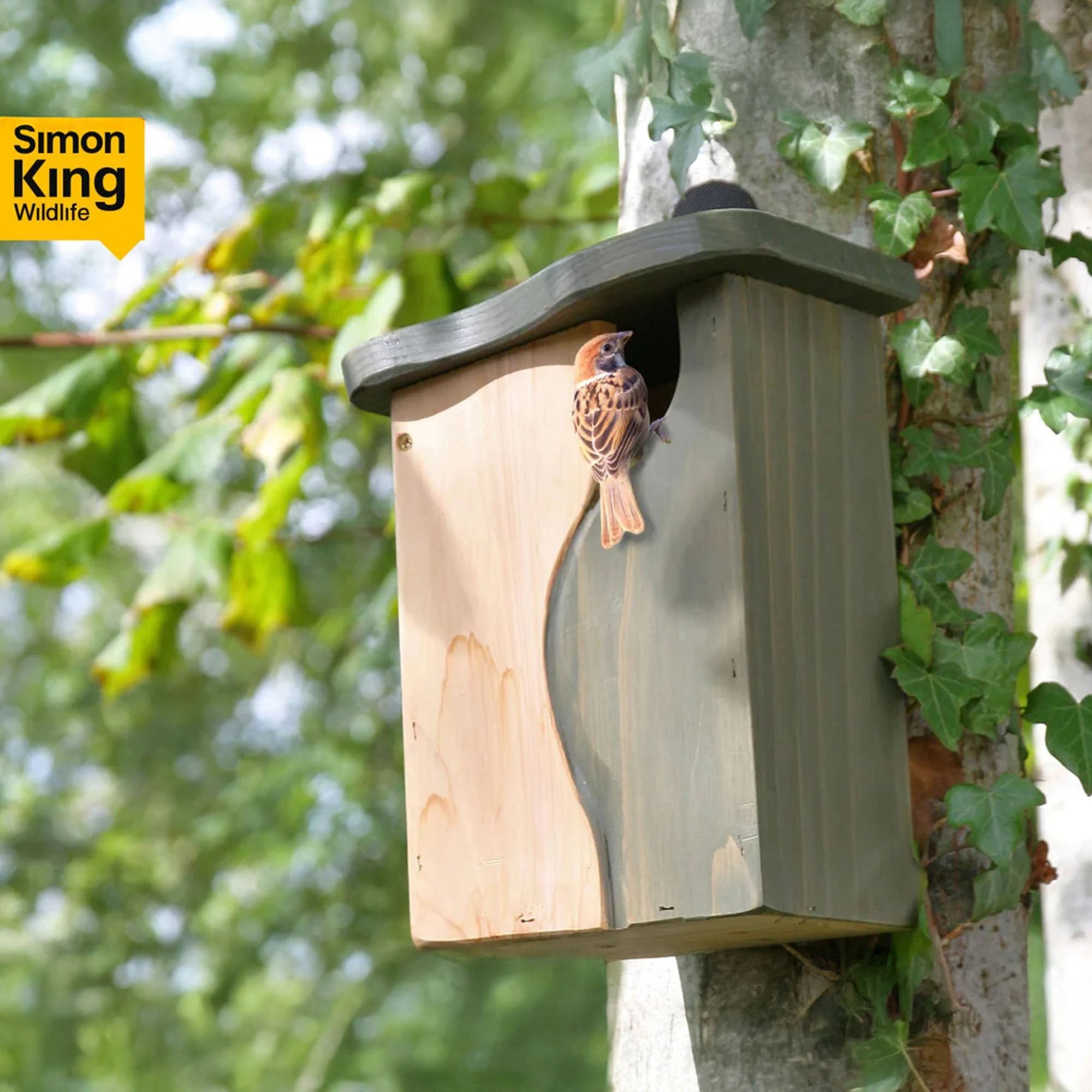 Cavity Nest Box
