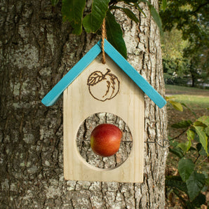 Brandon Trust Apple Feeder