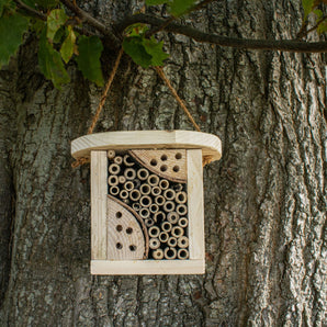 Brandon Trust Bug Hotel