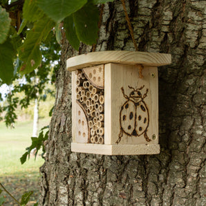 Brandon Trust Bug Hotel