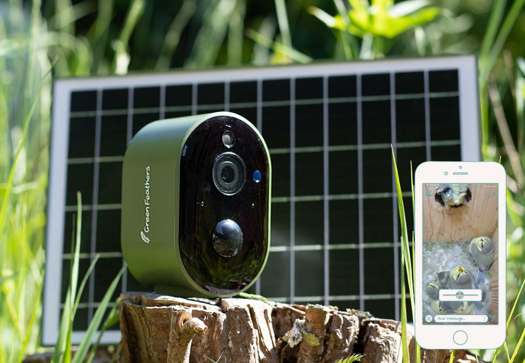 Solar Powered WiFi Bird Box Camera Ultimate Bundle | Green Feathers