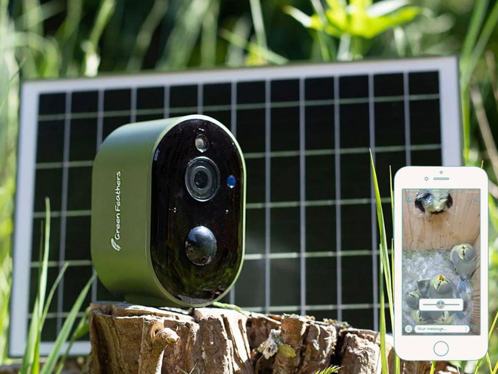 Solar Powered WiFi Bird Box Camera Green Feathers