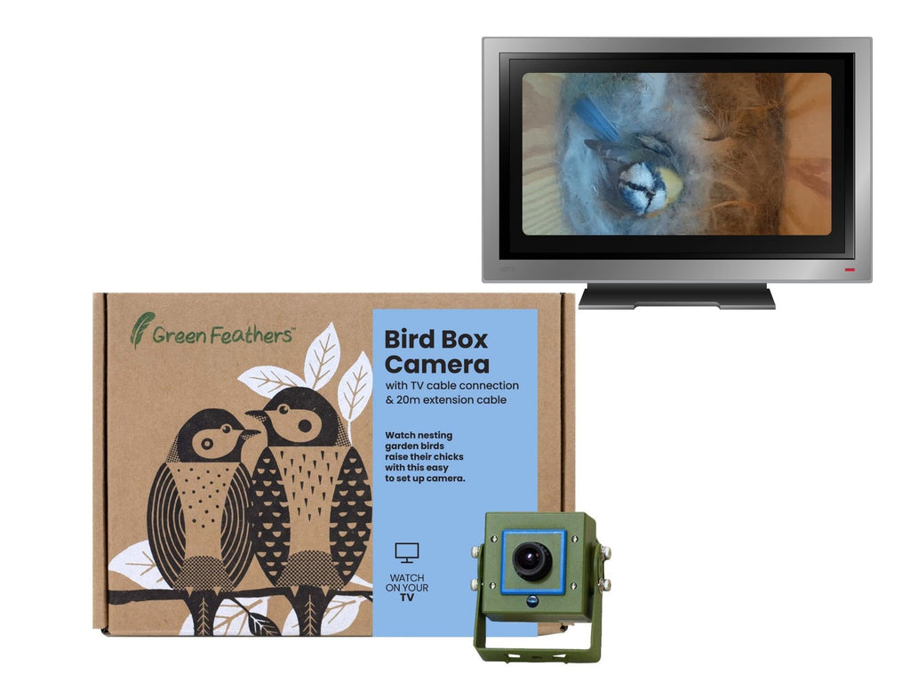 green feathers bird box camera reviews