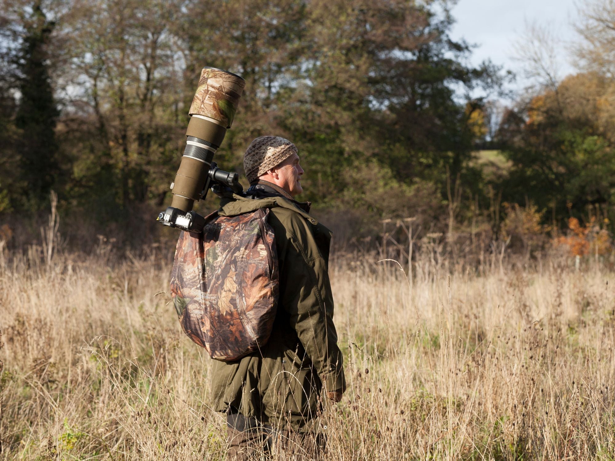 Ultimate Wildlife Watching Hide
