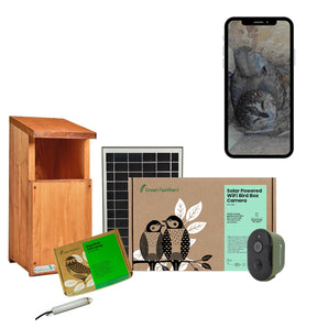 Solar Powered WiFi Owl Box Camera Pack