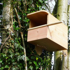 Kestrel Box