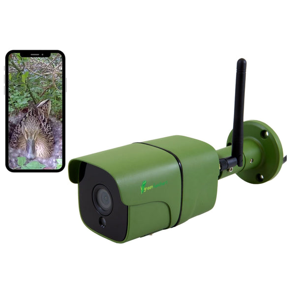 WiFi Wildlife Camera Garden Night Vision Green Feathers