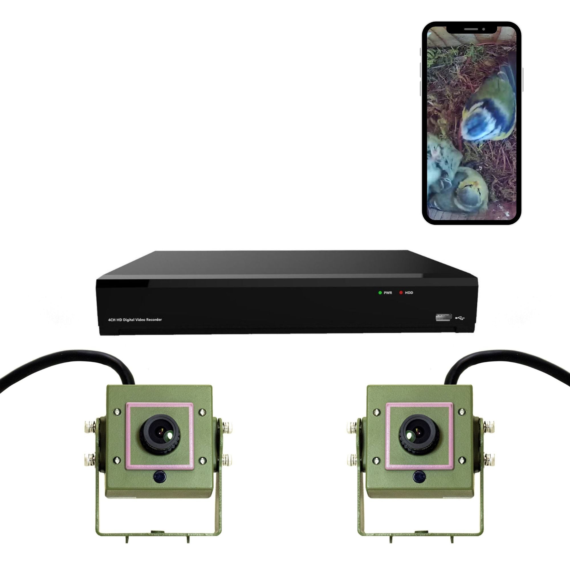 Wired Network Bird Box Cameras Recorder Pack (2nd Gen)