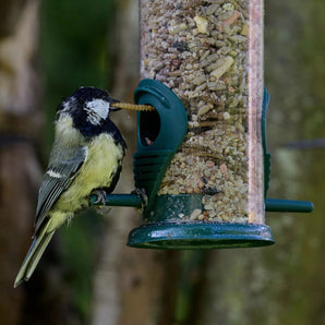 Eco Bird Food Seasonal Bird Seed Mix